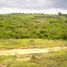  Land for sale in Bolivar, Cartagena, Bolivar