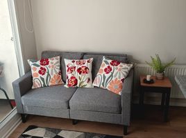 1 Habitación Apartamento en alquiler en Concepción, Biobío, Concepcion, Concepción