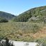  Land for sale in Chile, Cochrane, Capitan Prat, Aisen Del General Carlos Ibanez Del Campo, Chile