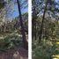  Land for sale in Charo, Michoacan, Charo