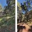  Land for sale in Charo, Michoacan, Charo