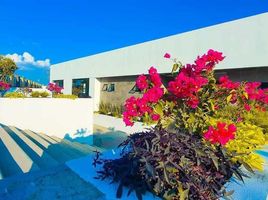 3 Schlafzimmer Wohnung zu verkaufen in Puebla, Puebla, Puebla, Puebla