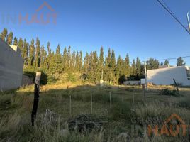  Land for sale in Neuquen, Confluencia, Neuquen