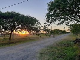  Land for sale in La Plata, Buenos Aires, La Plata