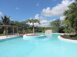  Grundstück zu verkaufen in Ixil, Yucatan, Ixil
