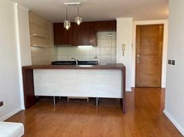 1 Bedroom Apartment for rent in Santiago, Santiago, Santiago, Santiago