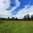  Terreno (Parcela) en venta en Los Ríos, Paillaco, Valdivia, Los Ríos