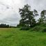 Terreno (Parcela) en venta en Los Ríos, Paillaco, Valdivia, Los Ríos