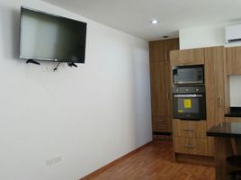 Estudio Apartamento en alquiler en Campeche, Carmen, Campeche