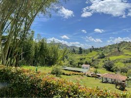 4 Habitación Villa en venta en Penol, Antioquia, Penol