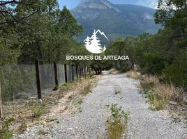 토지을(를) Arteaga, Coahuila에서 판매합니다., Arteaga