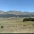  Land for sale in Galeana, Nuevo Leon, Galeana