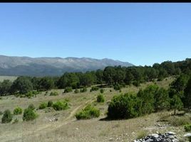  Land for sale in Galeana, Nuevo Leon, Galeana