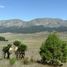  Land for sale in Galeana, Nuevo Leon, Galeana