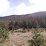  Land for sale in Galeana, Nuevo Leon, Galeana