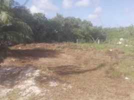  Terreno (Parcela) en venta en Telchac Puerto, Yucatán, Telchac Puerto