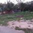  Terreno (Parcela) en venta en Telchac Puerto, Yucatán, Telchac Puerto