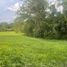  Land for sale in Caldas, Risaralda, Caldas