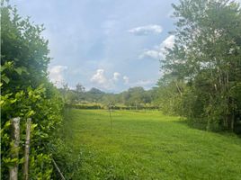  Land for sale in Caldas, Risaralda, Caldas