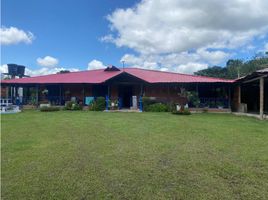 5 Habitación Casa en alquiler en Colombia, La Tebaida, Quindio, Colombia