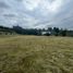  Land for sale in Guarne, Antioquia, Guarne