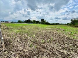  Land for sale in El Cerrito, Valle Del Cauca, El Cerrito