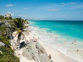  Grundstück zu verkaufen in Cozumel, Quintana Roo, Cozumel