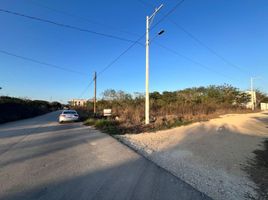  Grundstück zu verkaufen in Temozon, Yucatan, Temozon