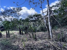  Terreno (Parcela) en venta en Chame, Panamá Oeste, Sorá, Chame