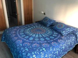 1 chambre Appartement for rent in Valparaiso, Vina Del Mar, Valparaiso, Valparaiso