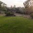  Land for sale in Chile, Loncoche, Cautin, Araucania, Chile