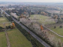  Land for sale in Chile, Loncoche, Cautin, Araucania, Chile