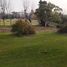  Land for sale in Chile, Loncoche, Cautin, Araucania, Chile