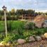  Land for sale in Chile, Longavi, Linares, Maule, Chile