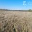  Land for sale in Chile, Longavi, Linares, Maule, Chile