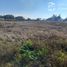  Land for sale in Chile, Longavi, Linares, Maule, Chile