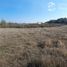  Land for sale in Chile, Longavi, Linares, Maule, Chile