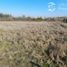  Land for sale in Chile, Longavi, Linares, Maule, Chile