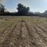  Land for sale in Chile, Longavi, Linares, Maule, Chile