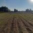  Land for sale in Chile, Longavi, Linares, Maule, Chile
