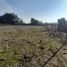  Land for sale in Chile, Longavi, Linares, Maule, Chile