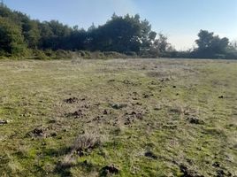  Land for sale in Chile, Longavi, Linares, Maule, Chile