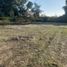  Land for sale in Chile, Longavi, Linares, Maule, Chile