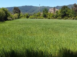  Land for sale in Chile, Linares, Linares, Maule, Chile