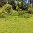  Land for sale in Chile, Linares, Linares, Maule, Chile