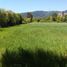  Land for sale in Chile, Linares, Linares, Maule, Chile