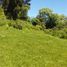  Land for sale in Chile, Linares, Linares, Maule, Chile