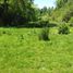  Land for sale in Chile, Linares, Linares, Maule, Chile
