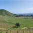  Terreno (Parcela) en venta en Cordillera, Santiago, Pirque, Cordillera