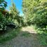  Land for sale in Chile, Concepcion, Concepción, Biobío, Chile